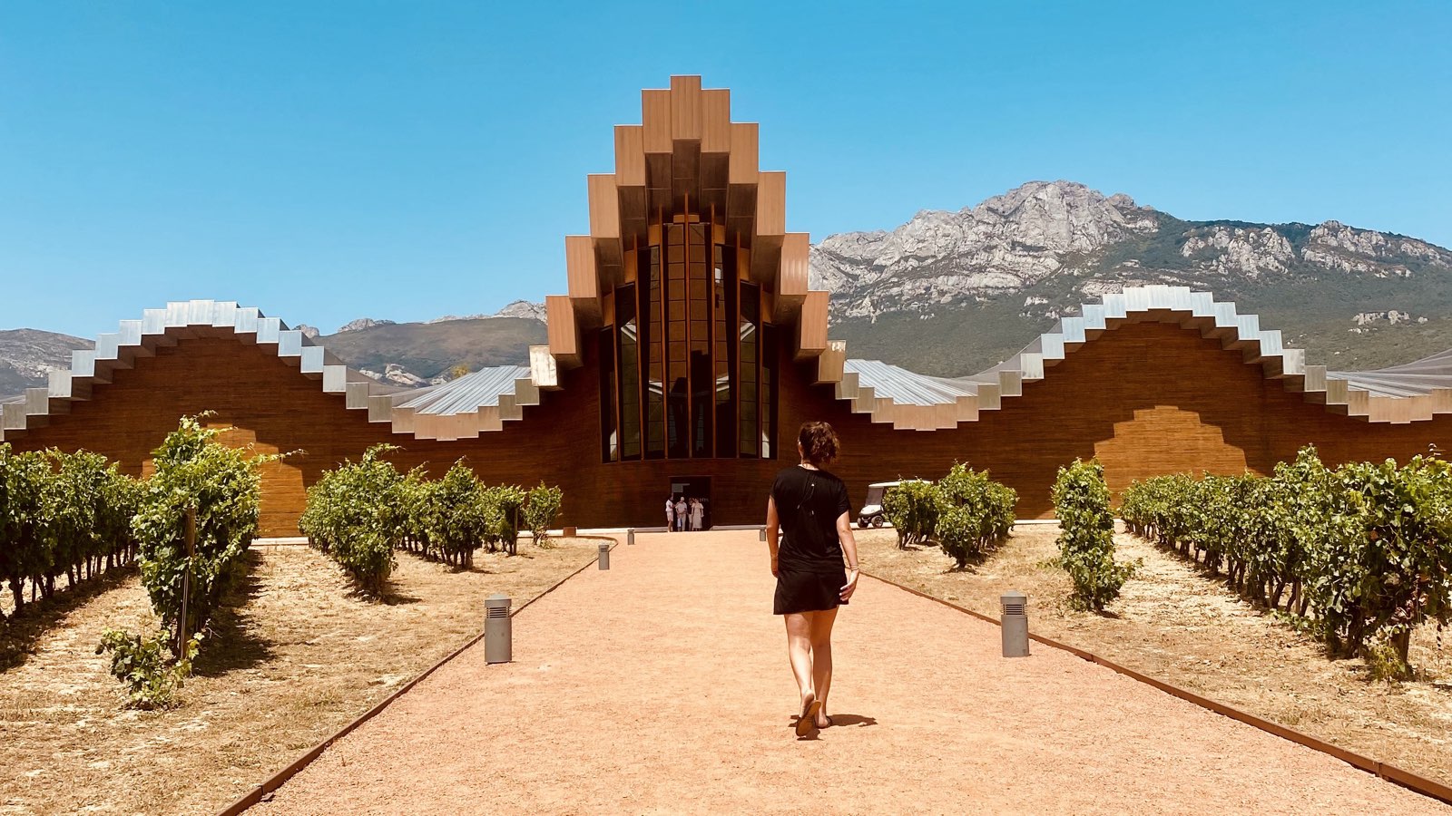 Het golvende dak van Bodegas Ysios in de Rioja